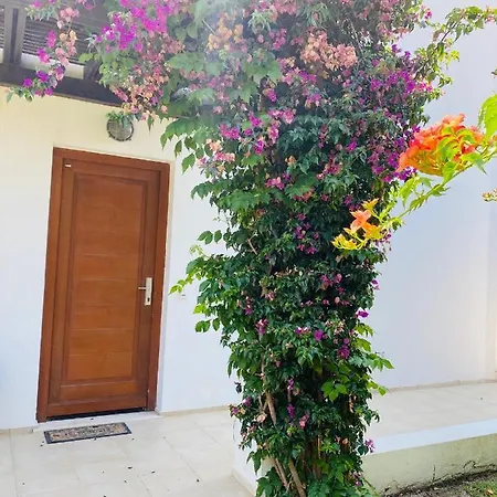 White Villas Of No: 1 Lardos